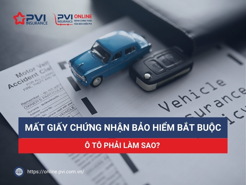 Mất giấy bảo hiểm bắt buộc ô tô có cấp lại được không? Thủ tục & chi phí